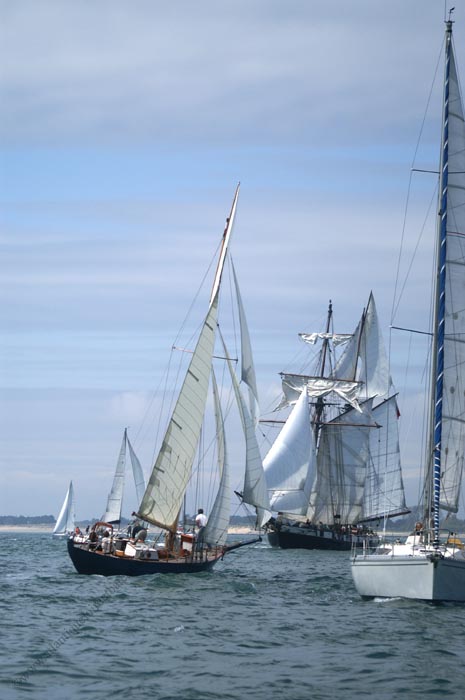MOUETTE RIEUSE & LA RECOUVRANCE