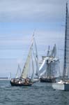 MOUETTE RIEUSE &  LA RECOUVRANCE